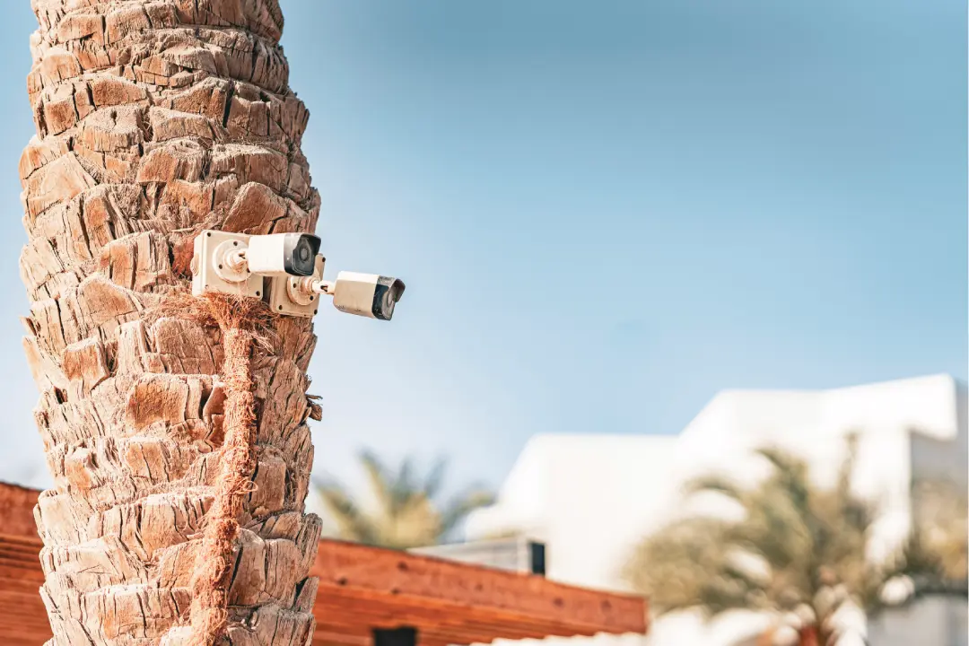Security and Smart Systems in Dubai
